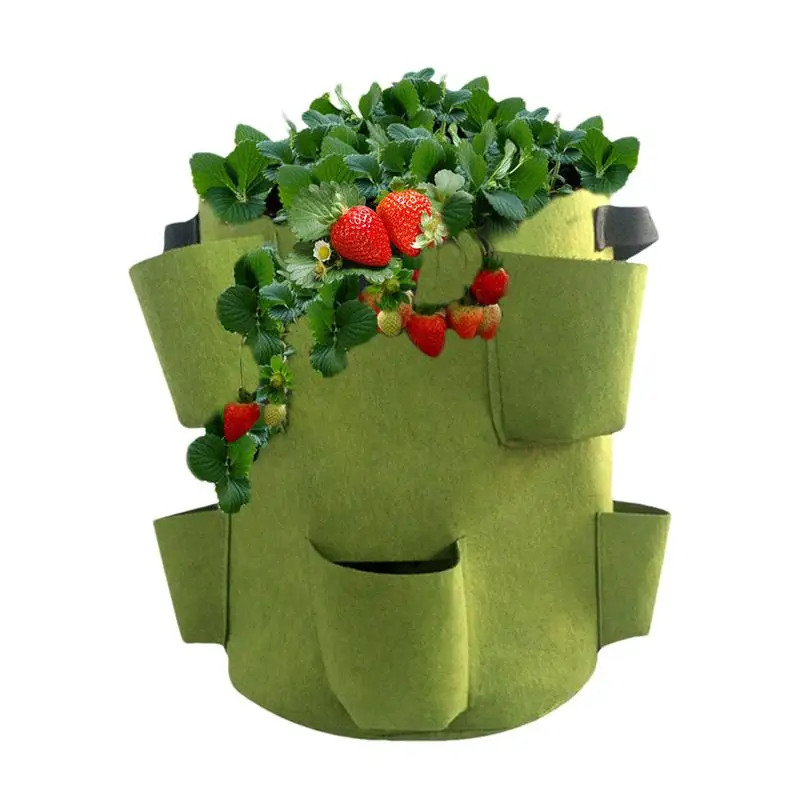 Plant Growth Bag Felt Garden Plant Growth Bag Space-Saving Fabric Pots For Backyards Balconies Courtyards Apartments Terraces
Plant Growth Bag Felt Garden Plant Growth Bag Space-Saving Fabric Pots For Backyards Balconies Courtyards Apartments Terraces