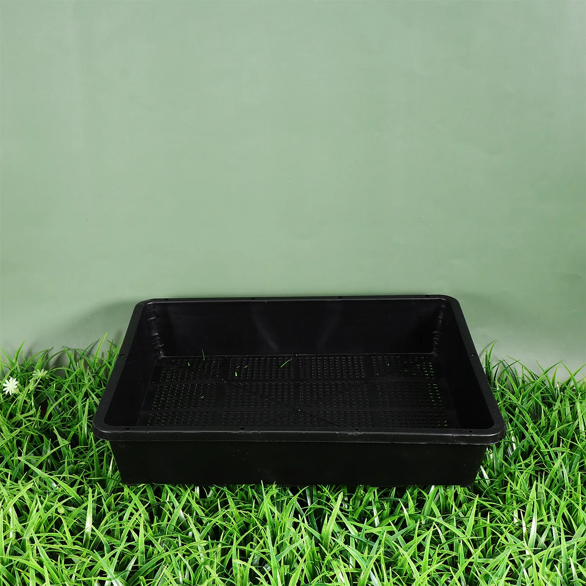 2Pcs Thickened Growing Tray Sprouter for Seeds Fruits Vegetables Storage Densely Perforated Root Rot Prevention Wear Resistant
2Pcs Thickened Growing Tray Sprouter for Seeds Fruits Vegetables Storage Densely Perforated Root Rot Prevention Wear Resistant