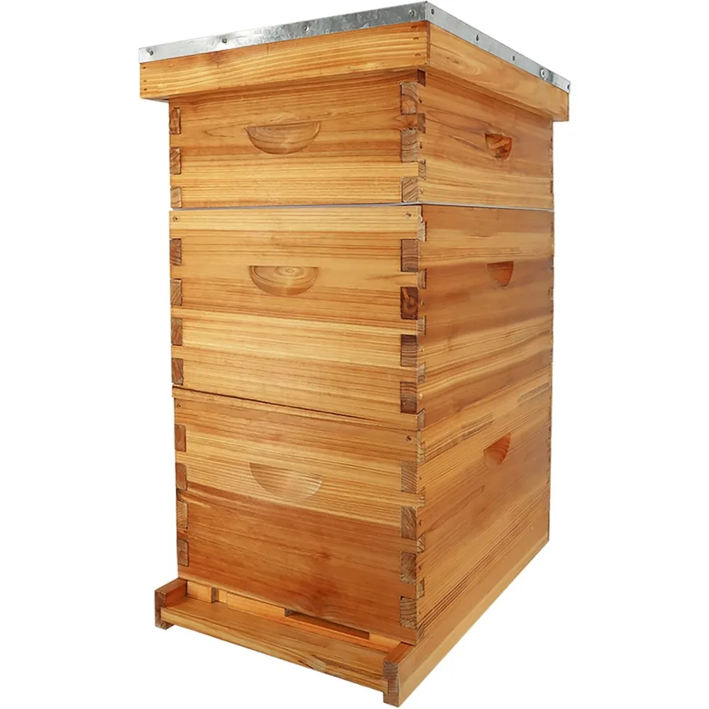 10-Frame Langstroth Bee Hive Complete Bee Hive Kit Beeswax Coated Include Beehive Frames and Waxed Foundation Sheets for Beekeep
10-Frame Langstroth Bee Hive Complete Bee Hive Kit Beeswax Coated Include Beehive Frames and Waxed Foundation Sheets for Beekeep