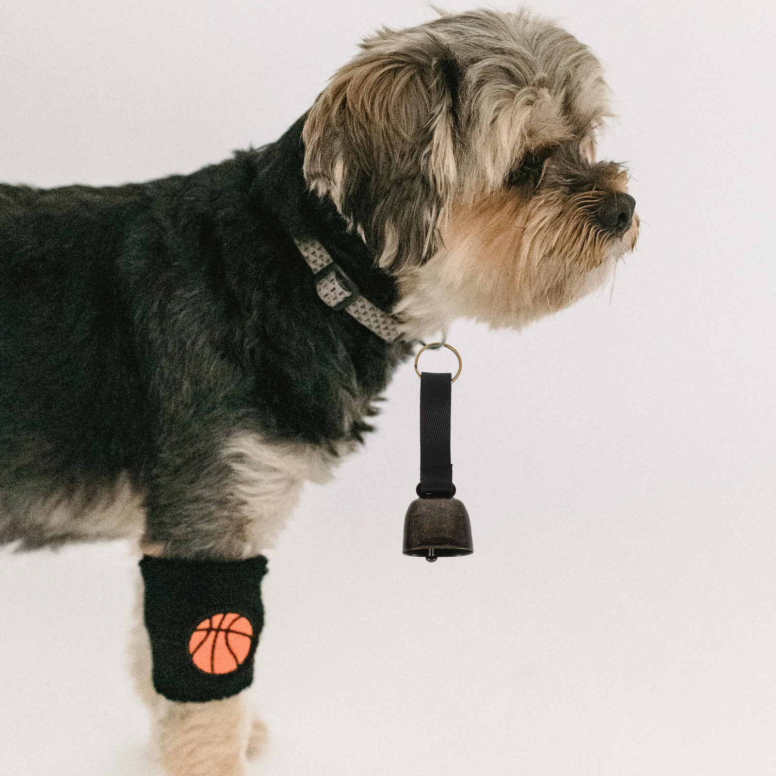 2 Pcs Pet Bells Clip Ultra Loud Small Cow Bells for Dog Collar Bear Warning Hiking Camping Outdoor Metal Bell Accessories
2 Pcs Pet Bells Clip Ultra Loud Small Cow Bells for Dog Collar Bear Warning Hiking Camping Outdoor Metal Bell Accessories