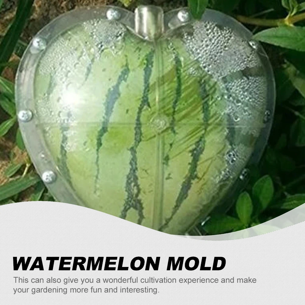 Heart Shaped Watermelon Molding Transparent PC Fruit Mould Shaping Tool Lightweight Compact Vegetable Growth Mold for Home
Heart Shaped Watermelon Molding Transparent PC Fruit Mould Shaping Tool Lightweight Compact Vegetable Growth Mold for Home