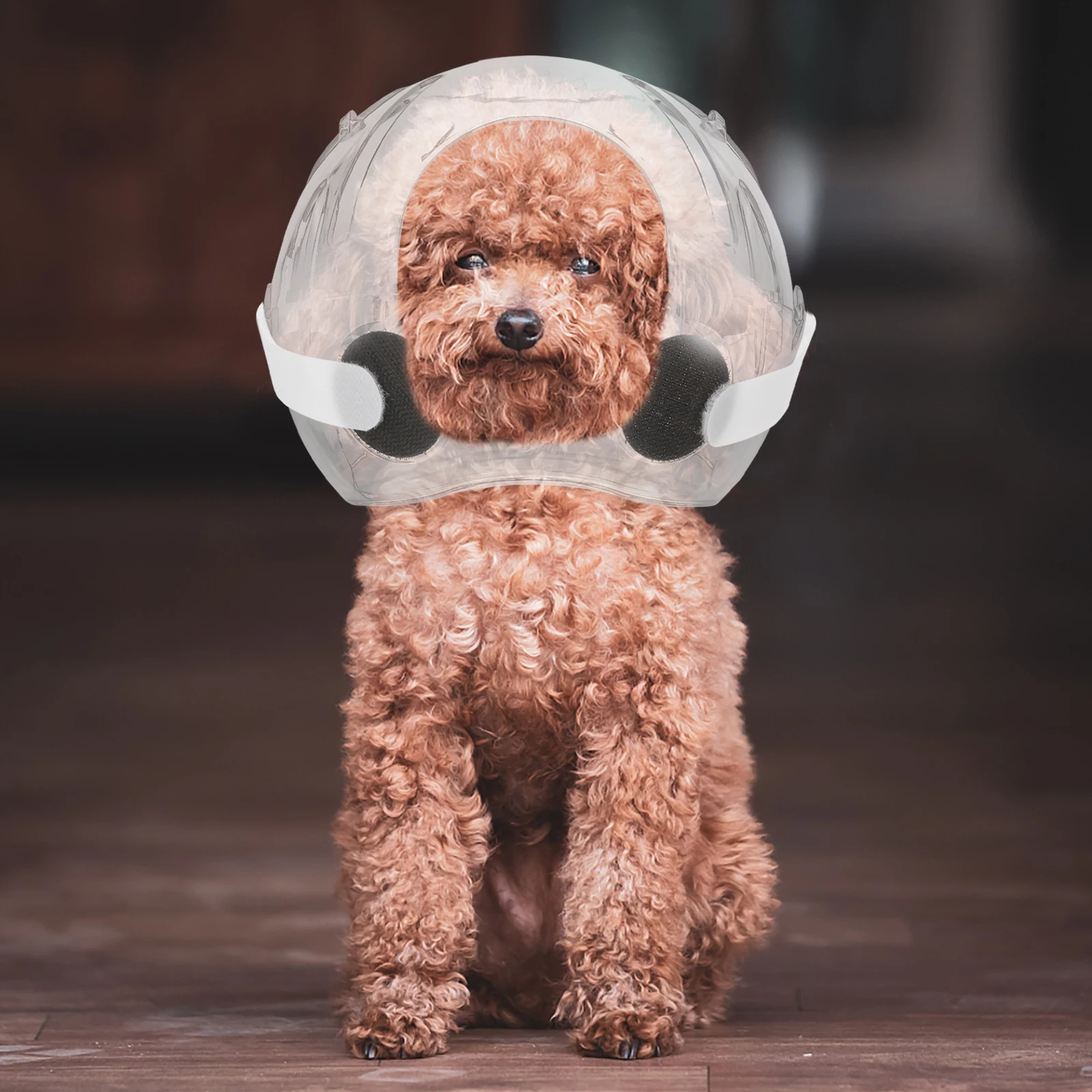 Cat Anti Biting Round Anti Chewing Hood Kitten Surgery Lightweight Durable Safe Material Easy On Off Comfortable Recovery
Cat Anti Biting Round Anti Chewing Hood Kitten Surgery Lightweight Durable Safe Material Easy On Off Comfortable Recovery