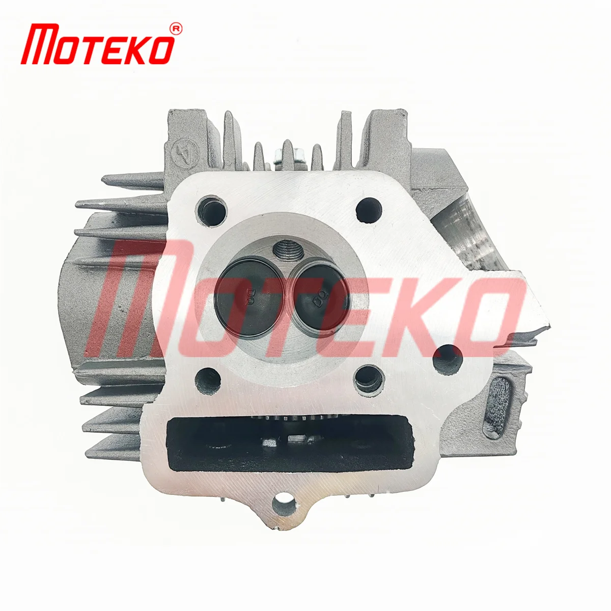 BX15110243 C110 ATV110 110CC 52.4MM BORE CYLINDER HEAD COMP WITH VALVES FOR 4T ENGINE 4T CHINESE CUBS ATV POCKET CROSS DIRT BIKE
BX15110243 C110 ATV110 110CC 52.4MM BORE CYLINDER HEAD COMP WITH VALVES FOR 4T ENGINE 4T CHINESE CUBS ATV POCKET CROSS DIRT BIKE