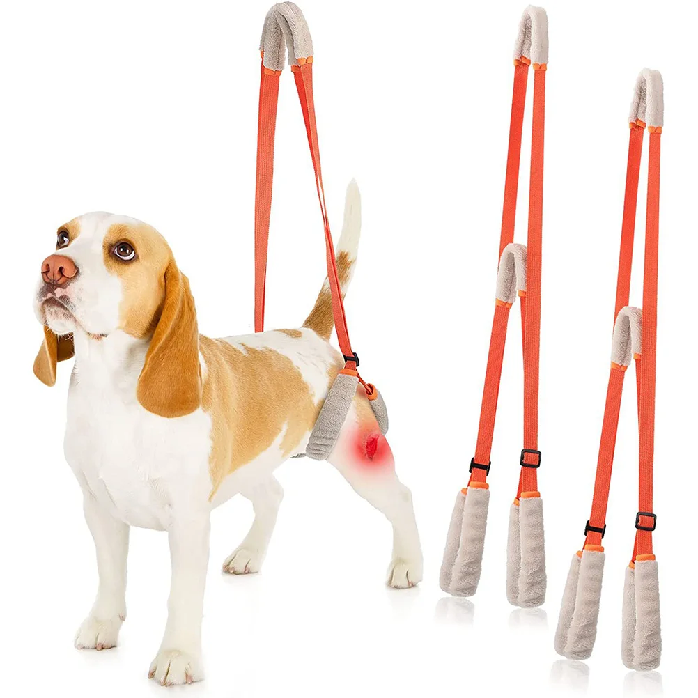 Portable Dog Harness Adjustable Sling Disabled Puppy Training Outdoor Back Leg Support Lightweight Pet Recovery Hip Brace
Portable Dog Harness Adjustable Sling Disabled Puppy Training Outdoor Back Leg Support Lightweight Pet Recovery Hip Brace