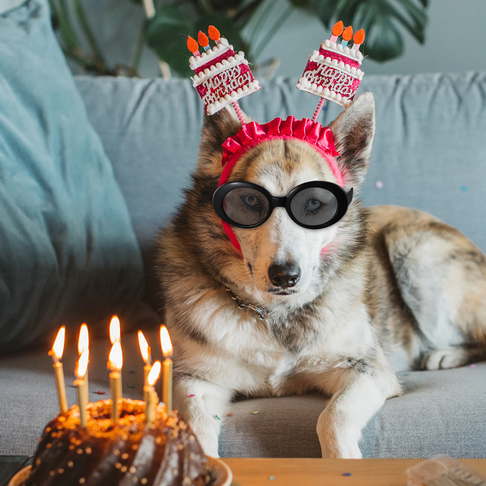 4pcs Pet Sunglasses For Cats Small Dogs Uv Protection Miniature Animal Spectacle Frames Cute Cosplay Photo Props Outdoor Eyewear
4pcs Pet Sunglasses For Cats Small Dogs Uv Protection Miniature Animal Spectacle Frames Cute Cosplay Photo Props Outdoor Eyewear