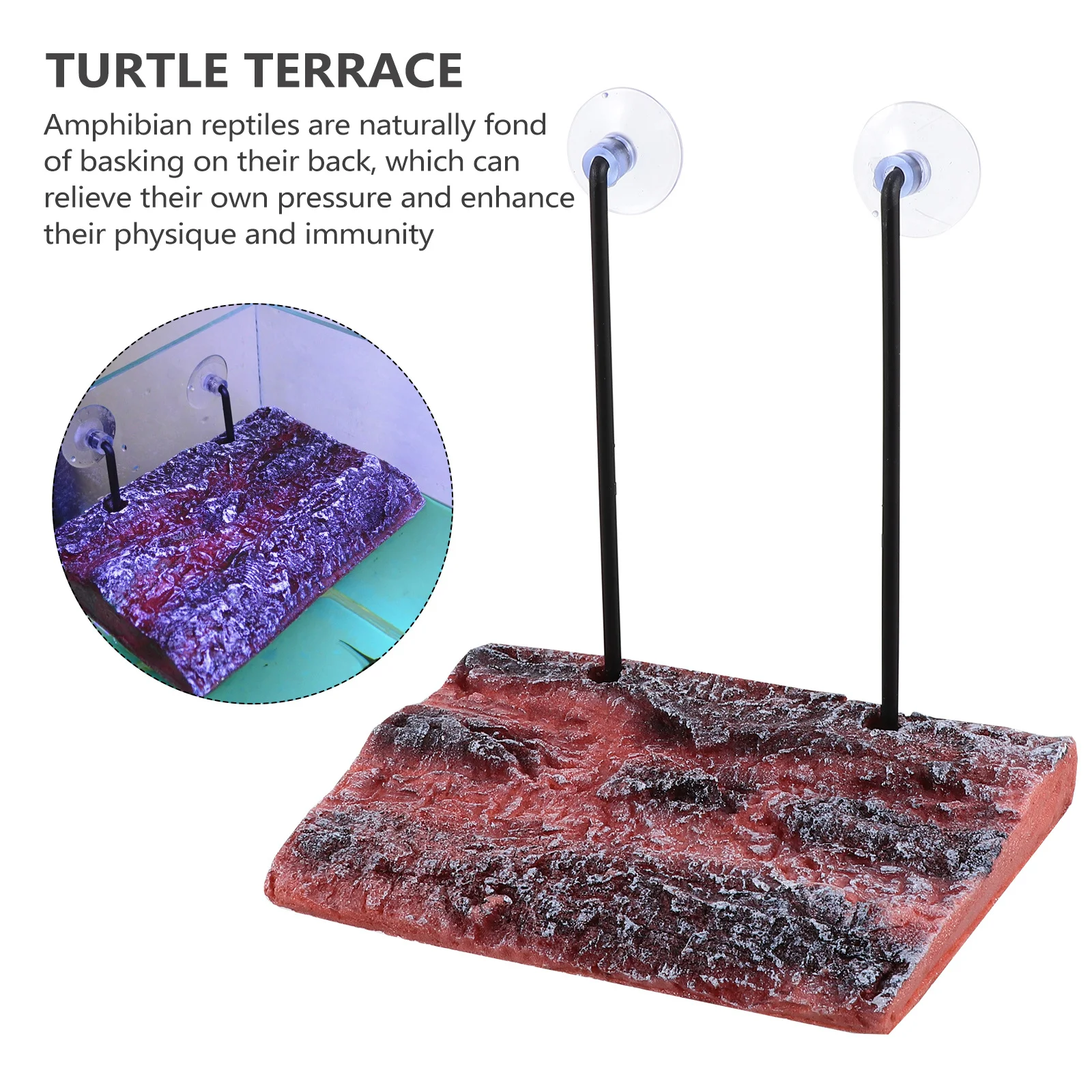 Aquarium Ornament Simulation Bark Turtles Terrace Fish Tank Decor Pet Platform Brown Tortoise Bask
Aquarium Ornament Simulation Bark Turtles Terrace Fish Tank Decor Pet Platform Brown Tortoise Bask