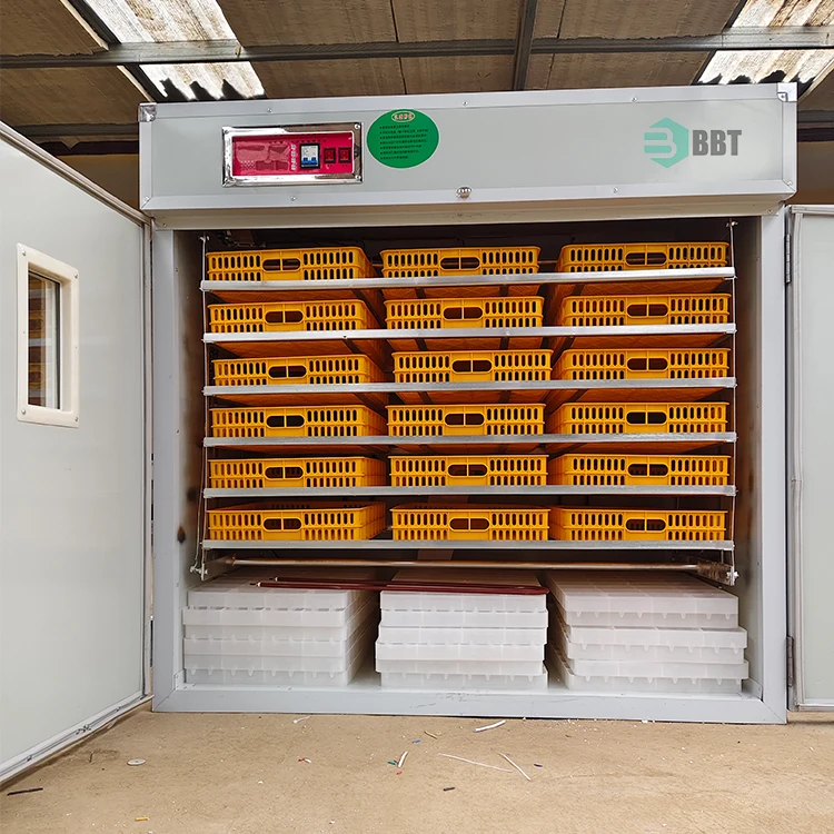 2026 Hot Sales 3000-Egg Incubator 99% Hatching Rate Automatic Egg Turning Bird Breeding Machine 220V PP Motor New
2026 Hot Sales 3000-Egg Incubator 99% Hatching Rate Automatic Egg Turning Bird Breeding Machine 220V PP Motor New