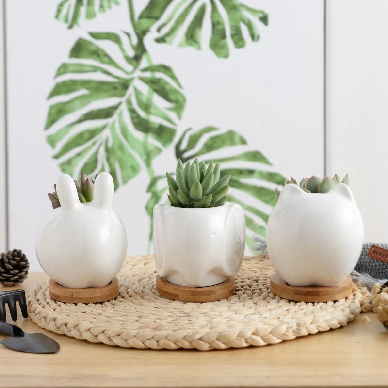 Animal Ceramic Flowerpots Succulents Plants Home Garden Rabbit Cat Planter Pot With Drainage Tray Table Decor
Animal Ceramic Flowerpots Succulents Plants Home Garden Rabbit Cat Planter Pot With Drainage Tray Table Decor