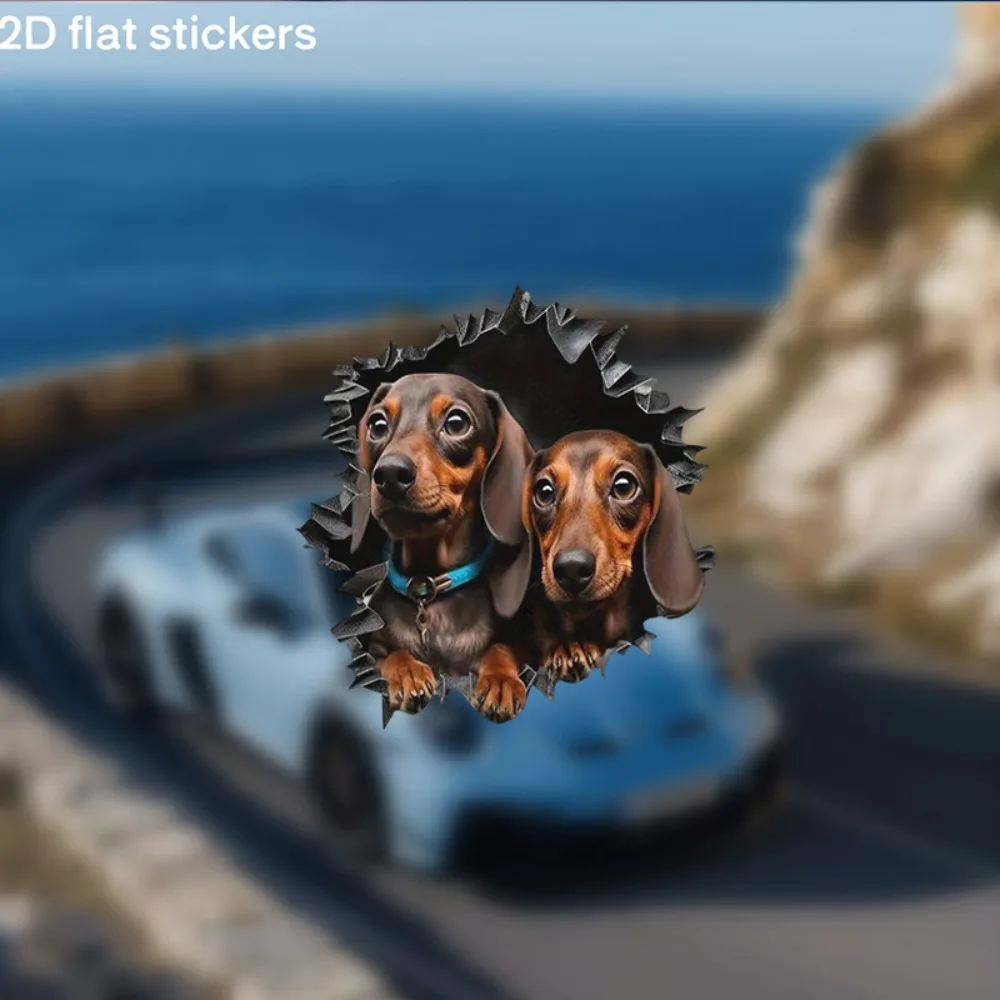Decorative Stickers Featuring Adorable Dachshund Designs Car Perfect for Cars Laptops And Water Bottles; Durable Long
Decorative Stickers Featuring Adorable Dachshund Designs Car Perfect for Cars Laptops And Water Bottles; Durable Long