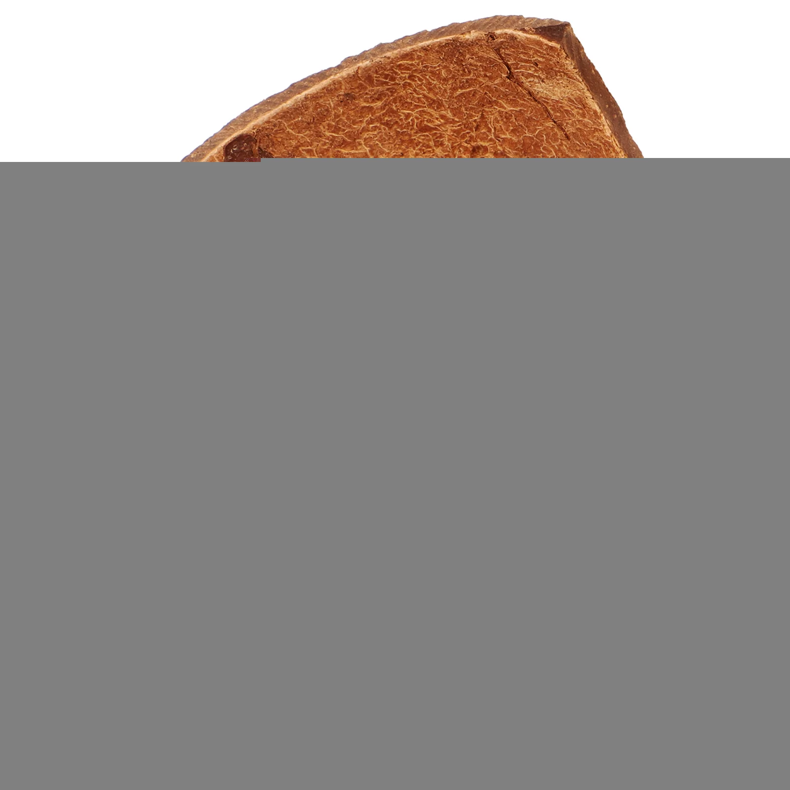 Coconut Shell Hideout House Natural Habitat Small Large Reptiles Bearded Dragon Lizard Leopard Gecko Humid Hide Tank Accessories
Coconut Shell Hideout House Natural Habitat Small Large Reptiles Bearded Dragon Lizard Leopard Gecko Humid Hide Tank Accessories
