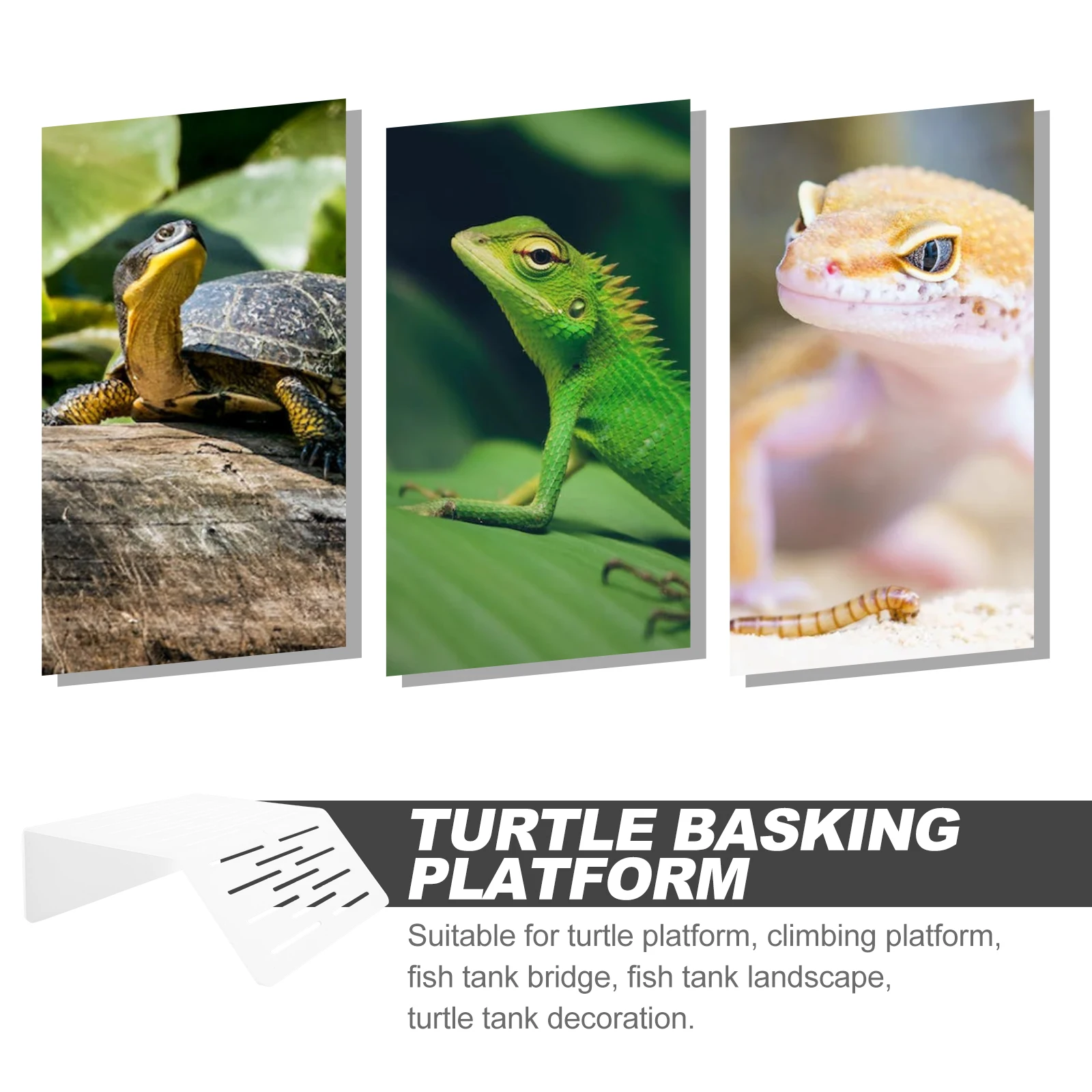 Large Turtle Basking Platform Stable Durable Plastic Climbing Dock Habitat Accessories Terrarium Decorations Reptile Tank
Large Turtle Basking Platform Stable Durable Plastic Climbing Dock Habitat Accessories Terrarium Decorations Reptile Tank