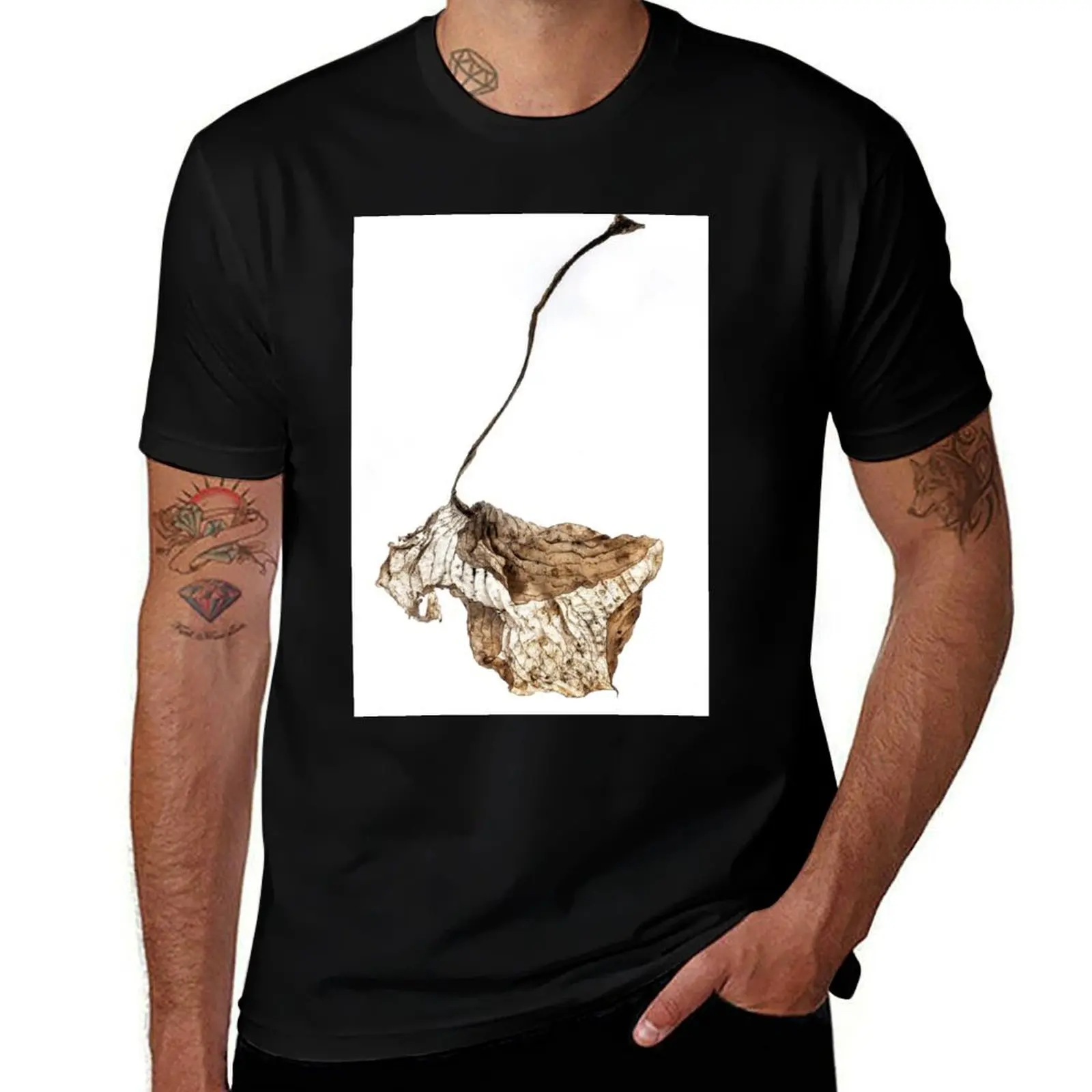 Dried Hosta Leaf T-Shirt boys whites kawaii clothes anime tshirt tshirts personalised t shirts men
Dried Hosta Leaf T-Shirt boys whites kawaii clothes anime tshirt tshirts personalised t shirts men