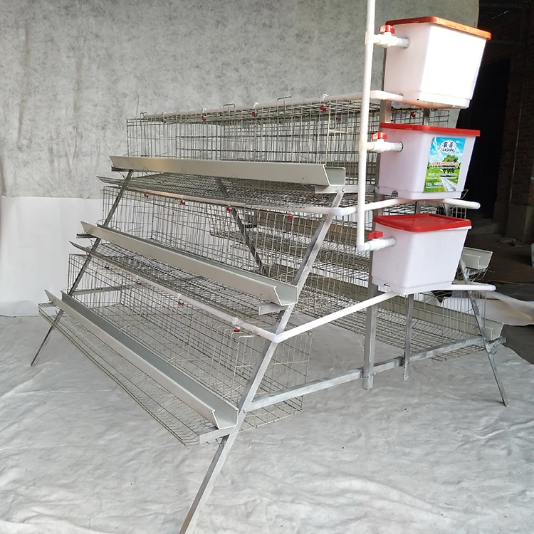 Modern Design a Type Galvanized Battery Layer Egg Chicken Cage for Sale
Modern Design a Type Galvanized Battery Layer Egg Chicken Cage for Sale