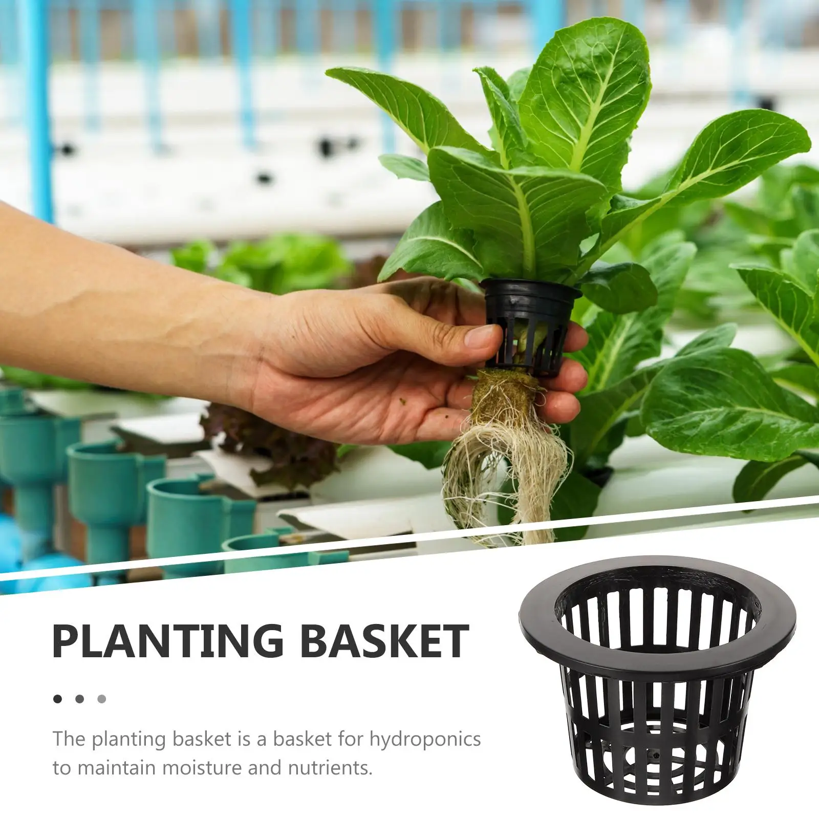 10pcs Hydroponic Pot Net Cup Hydroponic Soilless Mesh Net Basket Plant Veg Grow Nursery Cup Pot Garden Plant Basket Containers
10pcs Hydroponic Pot Net Cup Hydroponic Soilless Mesh Net Basket Plant Veg Grow Nursery Cup Pot Garden Plant Basket Containers