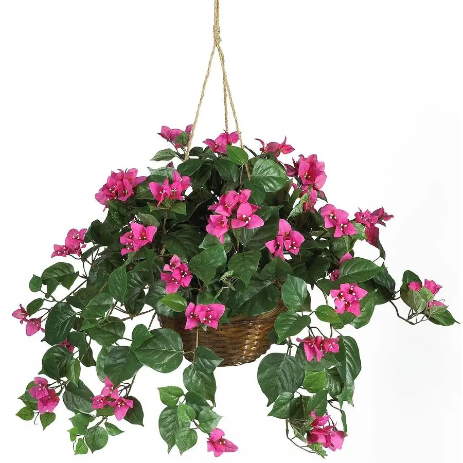Искусственная подвесная цветочная корзина Bougainvillea Искусственное растение для внутреннего украшения с коричневой плетеной подвесной корзиной, 32 D x 32 Вт x 24
Искусственная подвесная цветочная корзина Bougainvillea Искусственное растение для внутреннего украшения с коричневой плетеной подвесной корзиной, 32 D x 32 Вт x 24