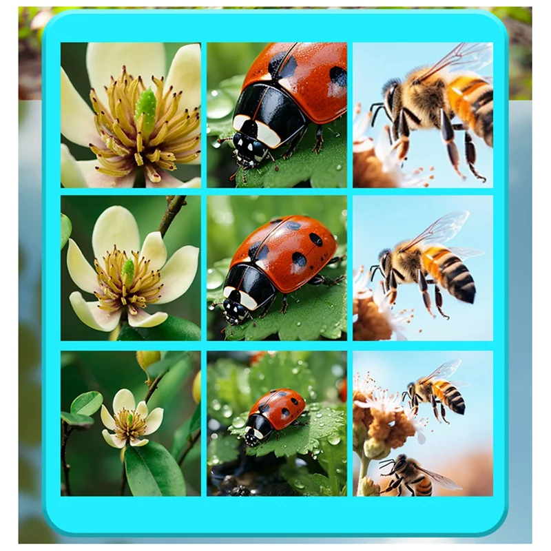 A72T 200W Mini Kids Optical Microscope 500X With Photo And Video Function- Observe The Microscopic World Science Children Tool
A72T 200W Mini Kids Optical Microscope 500X With Photo And Video Function- Observe The Microscopic World Science Children Tool