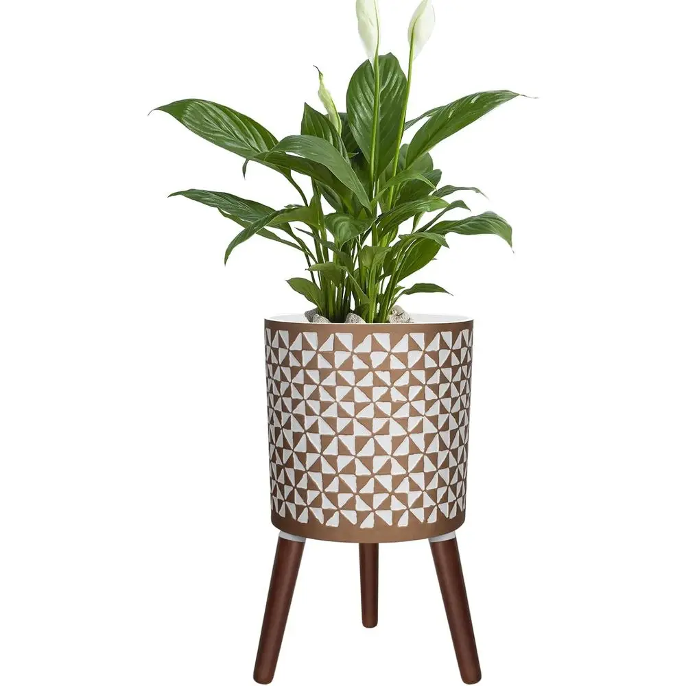 Large White & Gold 10 Inch Standing Planters with Drainage for Indoor or Outdoor Use
Large White & Gold 10 Inch Standing Planters with Drainage for Indoor or Outdoor Use