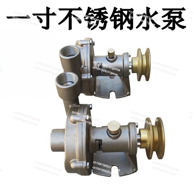 1 Inch Stainless Steel Water Pump Miniature Marine Fresh Water Pump Pumping Engine Seawater Centrifugal Pump
1 Inch Stainless Steel Water Pump Miniature Marine Fresh Water Pump Pumping Engine Seawater Centrifugal Pump