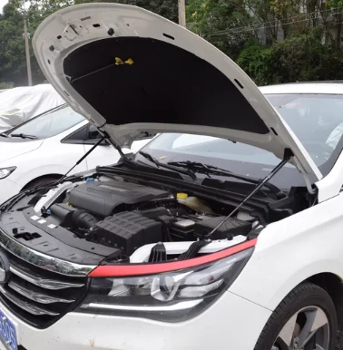 1 Set Gas Struts for GAC Trumpchi GA4 2018-2023 Front Hood Bonnet Lift Support Damper Shock Absorber Prop Rods
1 Set Gas Struts for GAC Trumpchi GA4 2018-2023 Front Hood Bonnet Lift Support Damper Shock Absorber Prop Rods