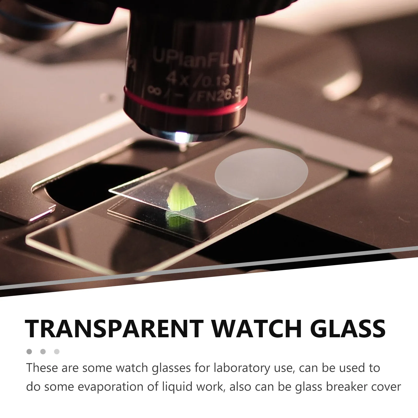 10Pcs Round Watch Glass Heat Resistant Transparent Surface Dish for Lab Evaporating Cover School Science Experiment Glassware
10Pcs Round Watch Glass Heat Resistant Transparent Surface Dish for Lab Evaporating Cover School Science Experiment Glassware