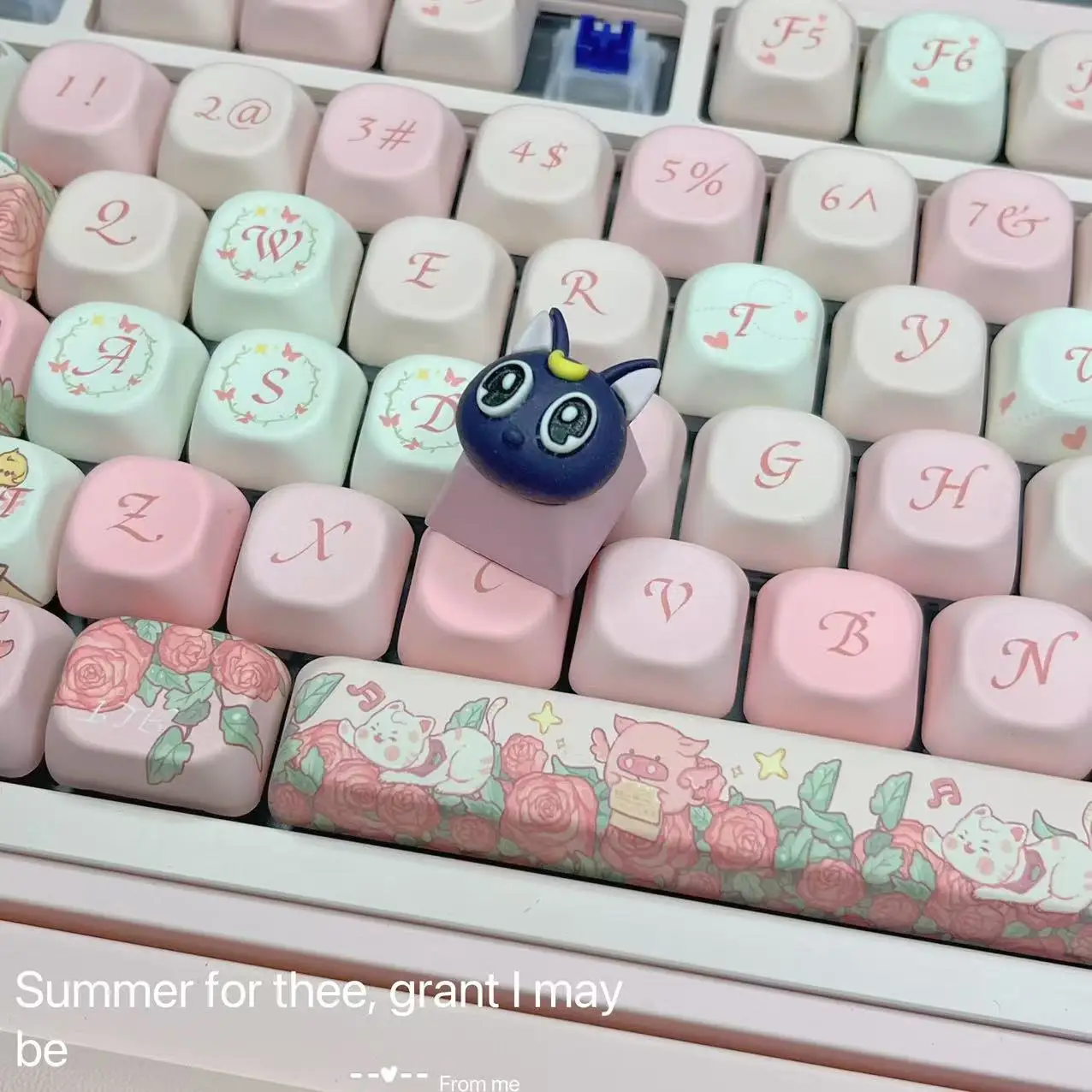 DIY Personalized Cute Moon Cat keycaps Handmade Creative Customization Cartoon Anime Games Mechanical Keyboard Keycaps
DIY Personalized Cute Moon Cat keycaps Handmade Creative Customization Cartoon Anime Games Mechanical Keyboard Keycaps