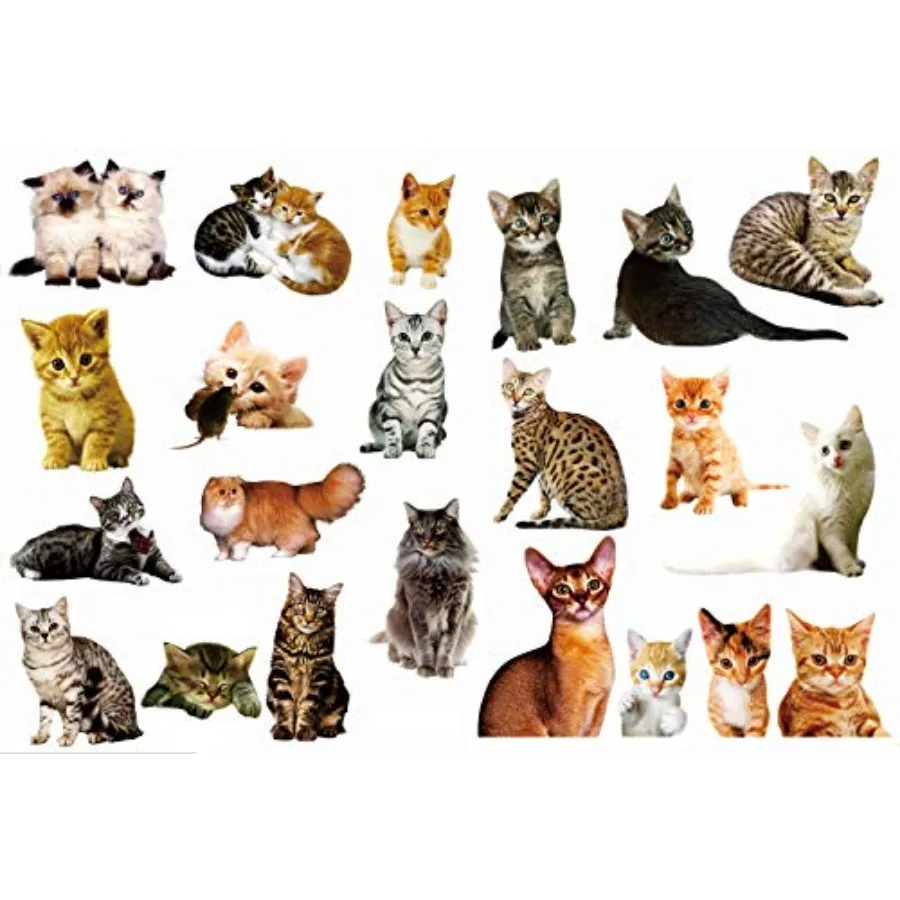 22PCS Removable 3D Cartoon Animal Cats PVC Wall Stickers Easy to Peel and Stick Cute Cat Wallpaper Murals for Wall Decals Livin
22PCS Removable 3D Cartoon Animal Cats PVC Wall Stickers Easy to Peel and Stick Cute Cat Wallpaper Murals for Wall Decals Livin