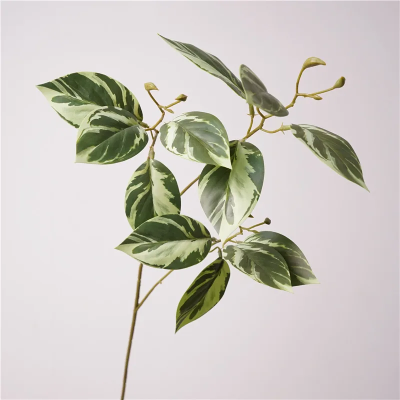 5Pcs Faux Long Branch Taro Leaf Real Touch Leaves Wedding Flower Arrangement Home Decoration Accessories Green Plant Taro Leaves
5Pcs Faux Long Branch Taro Leaf Real Touch Leaves Wedding Flower Arrangement Home Decoration Accessories Green Plant Taro Leaves