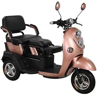 Electric Tricycle for 2 Person or 3 Person Electric Tricycle Car and High Power Tricycle Electric Bike for Sale
Electric Tricycle for 2 Person or 3 Person Electric Tricycle Car and High Power Tricycle Electric Bike for Sale