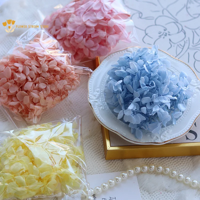Natural Dried Flower Colorful Preserve Hydrangea Home Decor Small Leaf Hydrangea Epoxy Handmade Material Wedding Decoration
Natural Dried Flower Colorful Preserve Hydrangea Home Decor Small Leaf Hydrangea Epoxy Handmade Material Wedding Decoration