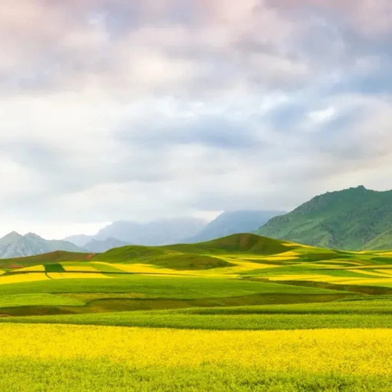 IFlight IPower Motor GM3506 130T with AS5048A Encoder 3506 Hollow Shaft Brushless Gimbal Motor for SLR Camera Stabilization
IFlight IPower Motor GM3506 130T with AS5048A Encoder 3506 Hollow Shaft Brushless Gimbal Motor for SLR Camera Stabilization