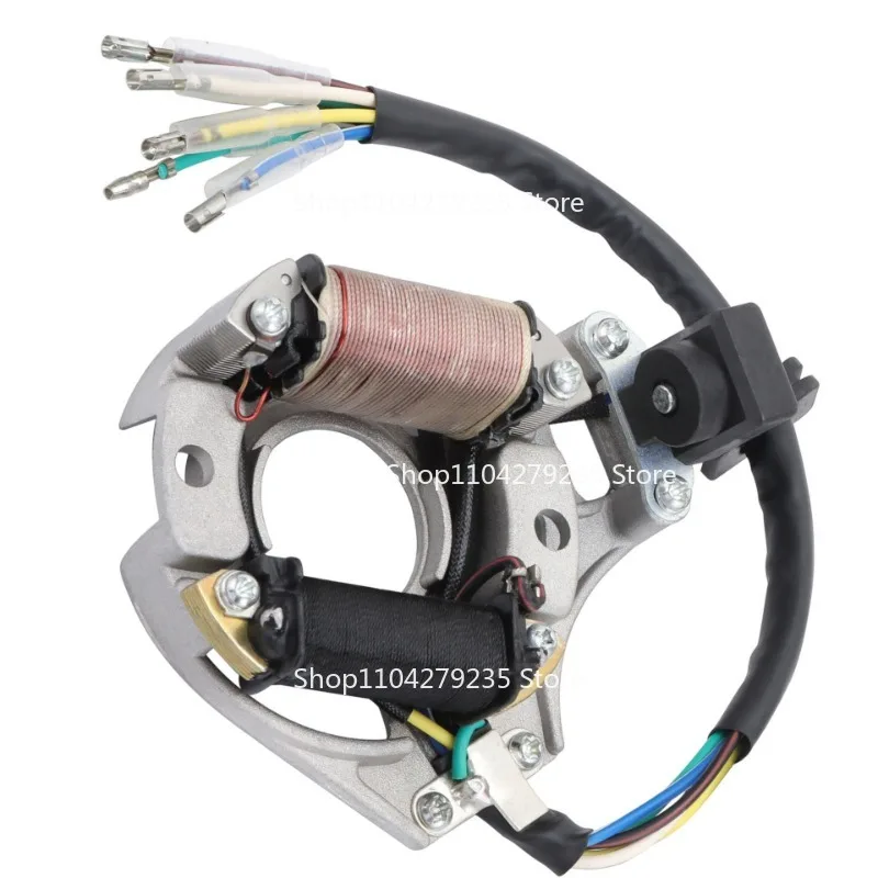 Suitable for Beach Buggy Electric Vehicle Stator Ignition Coil Accessories 50cc70cc 90cc 110cc 125cc
Suitable for Beach Buggy Electric Vehicle Stator Ignition Coil Accessories 50cc70cc 90cc 110cc 125cc