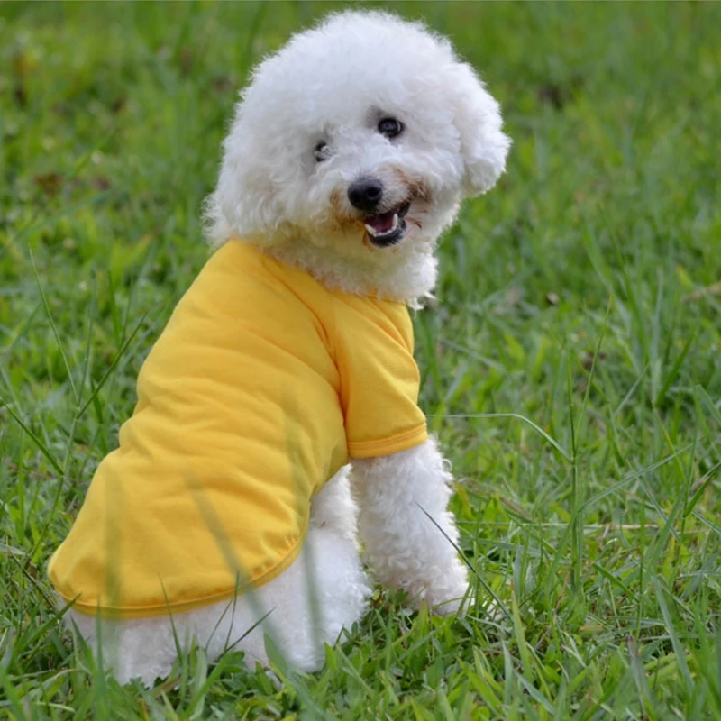 Dog Cat T-shirt Spring Summer Puppy Cool Clothes POLO Sweatshirt Cat Sleeveless Clothe Breathable Dogs Vest Pet Costume Supplies
Dog Cat T-shirt Spring Summer Puppy Cool Clothes POLO Sweatshirt Cat Sleeveless Clothe Breathable Dogs Vest Pet Costume Supplies