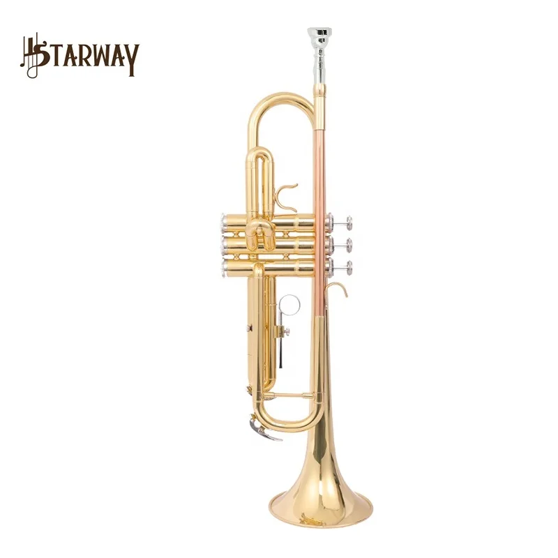 China Starway Custom Professional Bb Key Phosphor Cooper Brass Trumpet Music Instrument For Beginner 
China Starway Custom Professional Bb Key Phosphor Cooper Brass Trumpet Music Instrument For Beginner