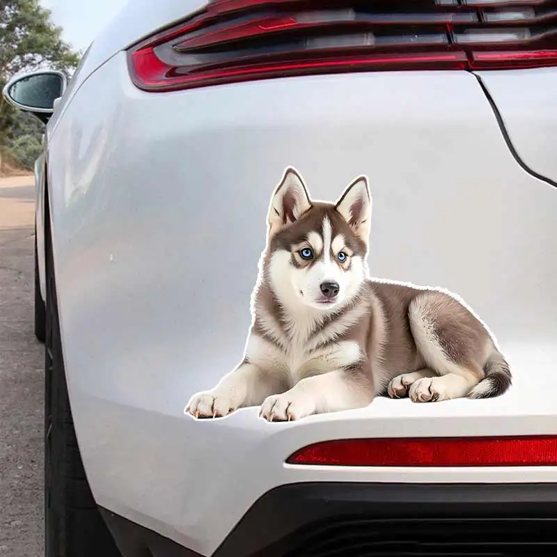 Husky Pet Dog Animal Cartoon Car Sticker Waterproof Styling Automobiles Motorcycle Exterior Accessories Vinyl Decals Y201
Husky Pet Dog Animal Cartoon Car Sticker Waterproof Styling Automobiles Motorcycle Exterior Accessories Vinyl Decals Y201