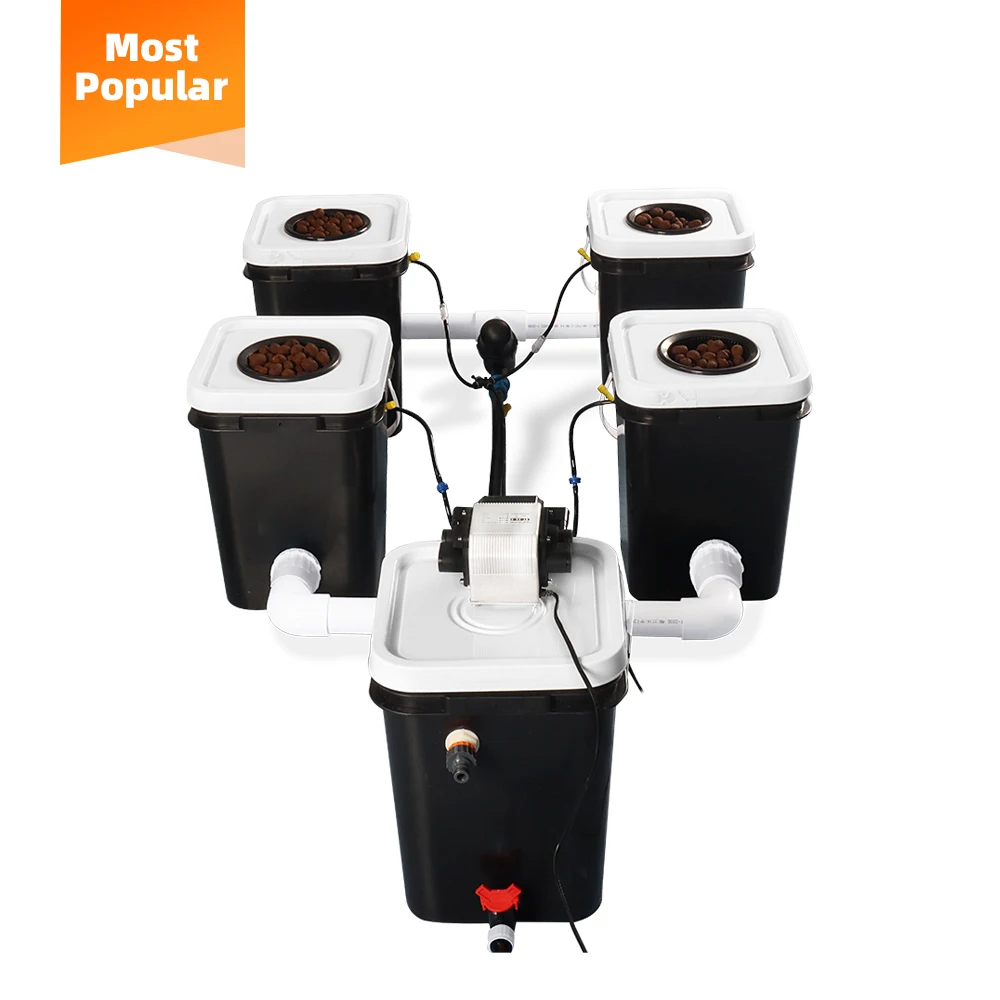 Top Quality Smart Hydroponic System for Home Hydroponic Bucket Garden Cultivation Hydroponic System Manufacturer From China
Top Quality Smart Hydroponic System for Home Hydroponic Bucket Garden Cultivation Hydroponic System Manufacturer From China