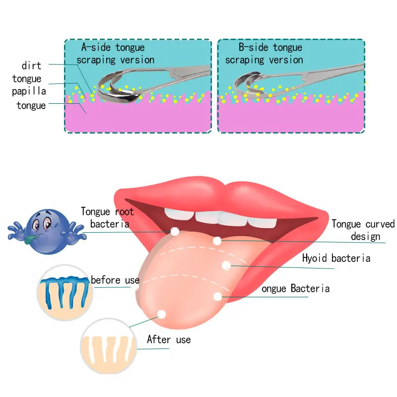 Double Layer Tongue Cleaner Tongue Scraper Reusable Stainless Oral Mouth Brush
Double Layer Tongue Cleaner Tongue Scraper Reusable Stainless Oral Mouth Brush