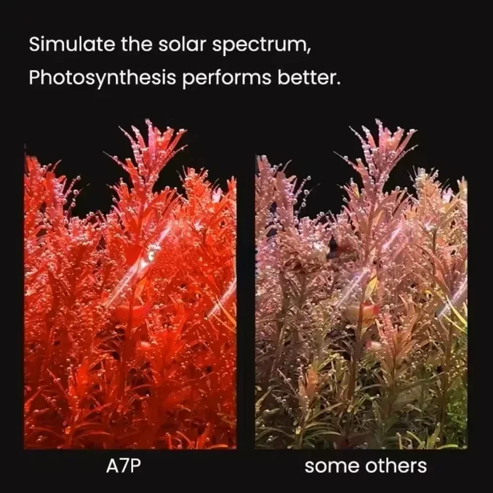 In stock skynuo Freshwater A7P 100W Full Spectrum Natural Light with Reflectors Colour Enhancing Algae Bloom Planted Growth
In stock skynuo Freshwater A7P 100W Full Spectrum Natural Light with Reflectors Colour Enhancing Algae Bloom Planted Growth