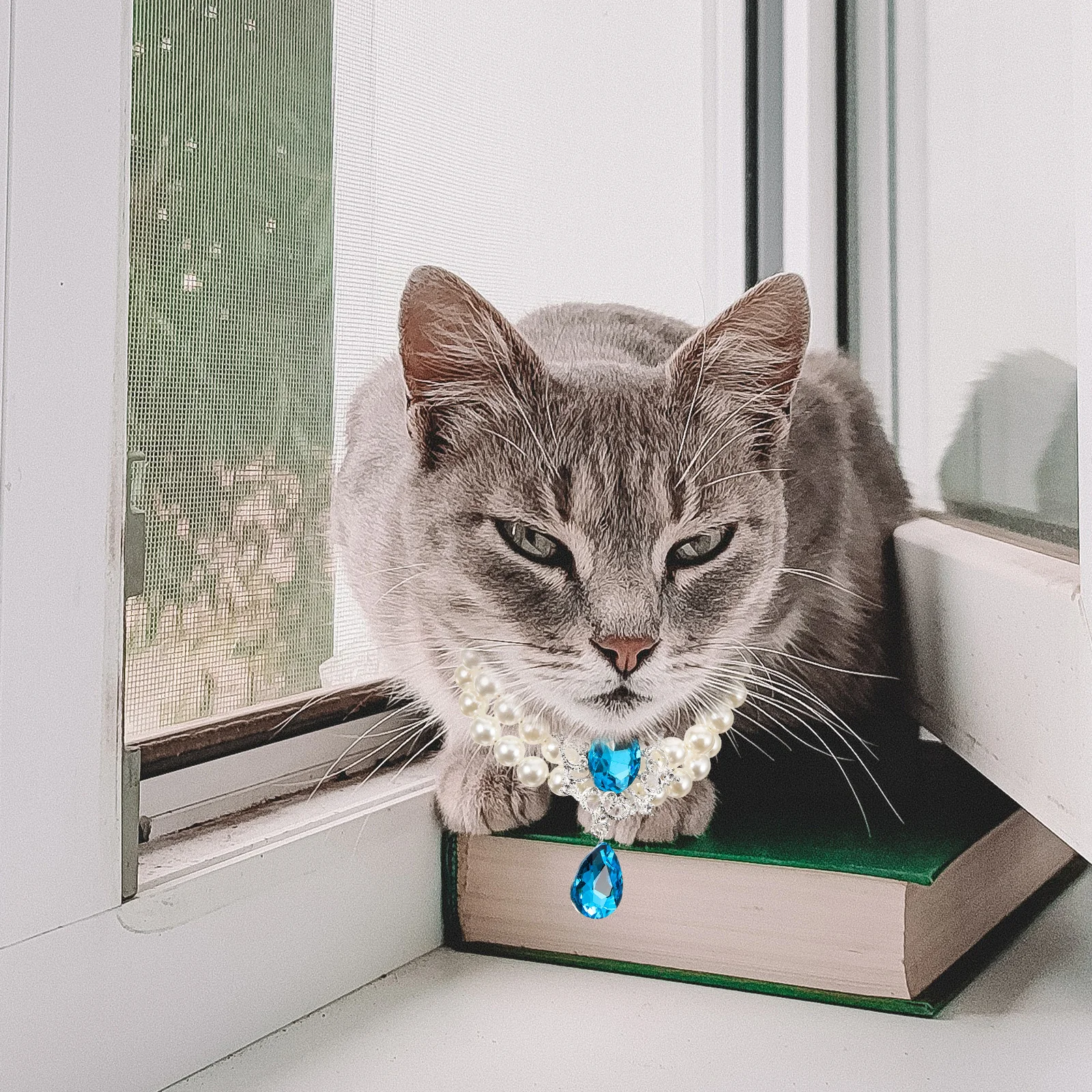 Adjustable Pet Pearl Collar Cat Necklace Decorative Party Dog Collar Festival Jewelry Cat Necklace Dog Collars
Adjustable Pet Pearl Collar Cat Necklace Decorative Party Dog Collar Festival Jewelry Cat Necklace Dog Collars