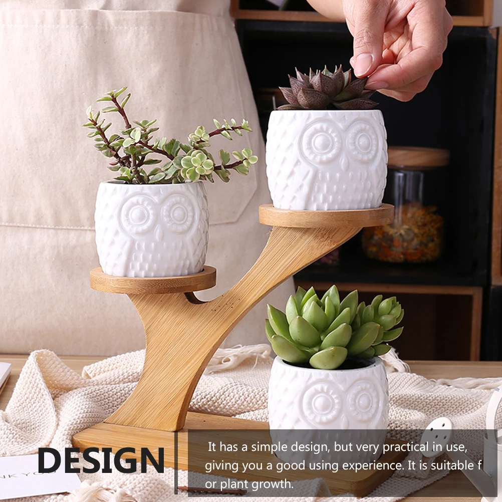 Owl Ceramic Planters Bamboo Stand Succulents Flower Pot Container Garden Balcony Office Decor Long Lasting Durable Beautiful
Owl Ceramic Planters Bamboo Stand Succulents Flower Pot Container Garden Balcony Office Decor Long Lasting Durable Beautiful