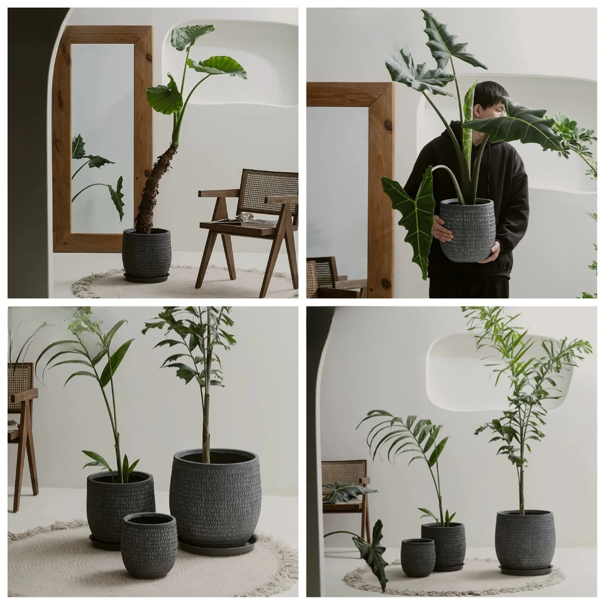 PYH gray retro round simple imitation leaf tree creative bird of paradise special happiness tree flower pot
PYH gray retro round simple imitation leaf tree creative bird of paradise special happiness tree flower pot