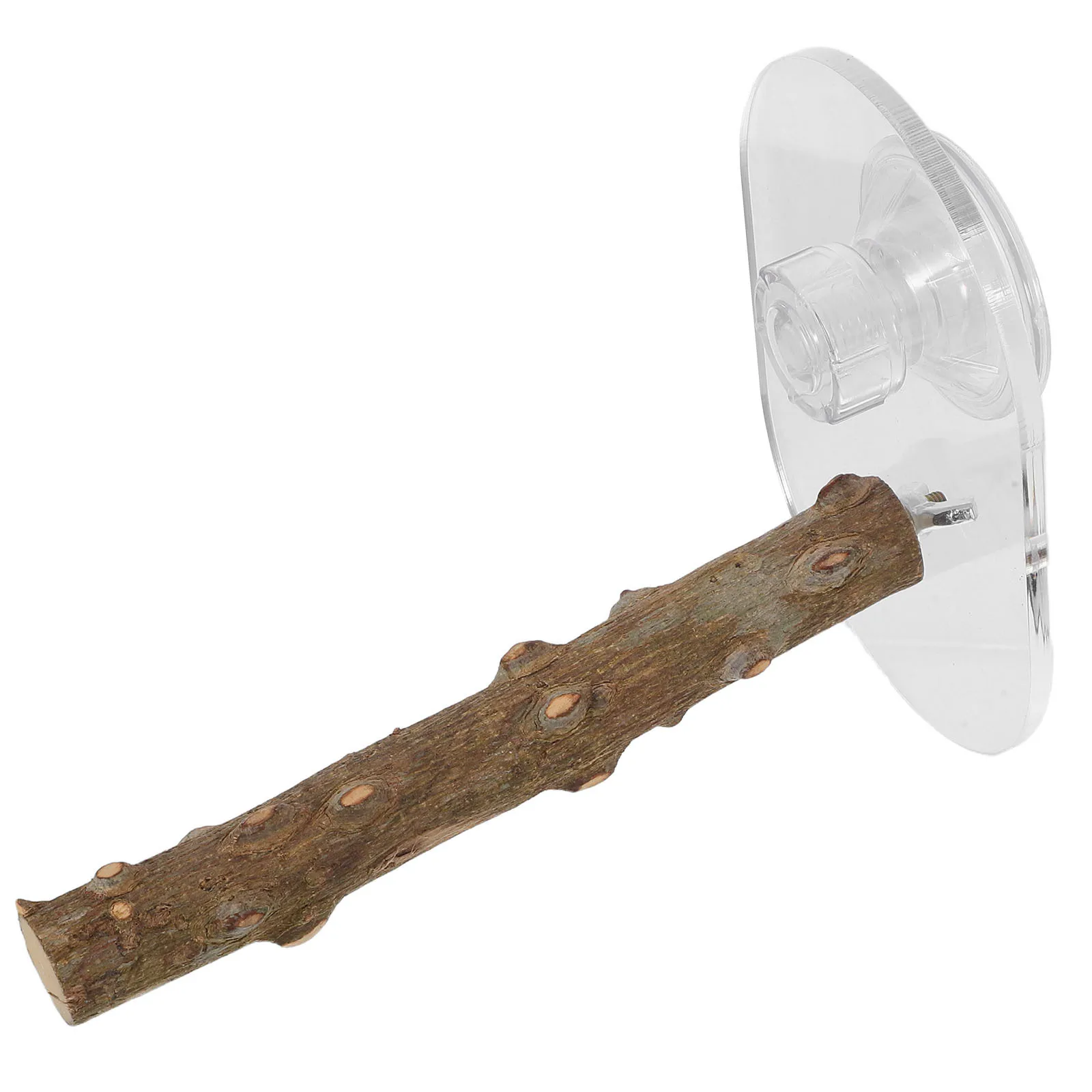 Strong Suction Bird Perch Stand Adjustable Wood Platform Portable Parrot Rest Holder Textured Surface Slip Resistant Budgie Cage
Strong Suction Bird Perch Stand Adjustable Wood Platform Portable Parrot Rest Holder Textured Surface Slip Resistant Budgie Cage