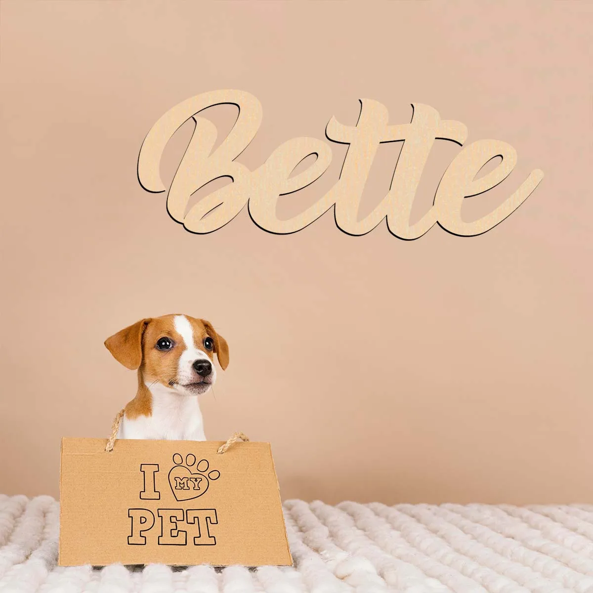 1 pc charming bette fonts Wooden Sign Wood Material Customizable Name Unfinished Wood for Painting or Glittering
1 pc charming bette fonts Wooden Sign Wood Material Customizable Name Unfinished Wood for Painting or Glittering