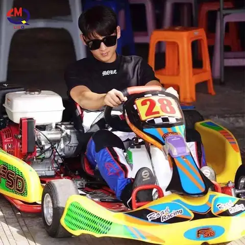 China Factory Go Kartfor Sale Adults Racing Kart for Car Price
