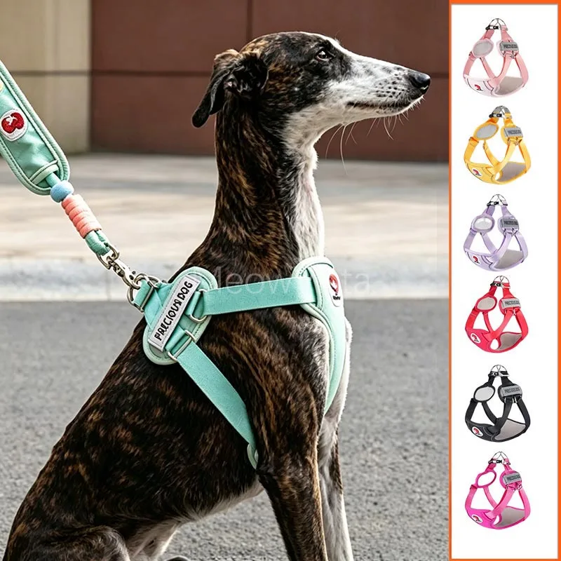 Comfort Adjustable Dog Harness with Soft Padded Explosion-Proof Tactical Medium Large Dog Walking Harness for Greyhound Labrador
Comfort Adjustable Dog Harness with Soft Padded Explosion-Proof Tactical Medium Large Dog Walking Harness for Greyhound Labrador