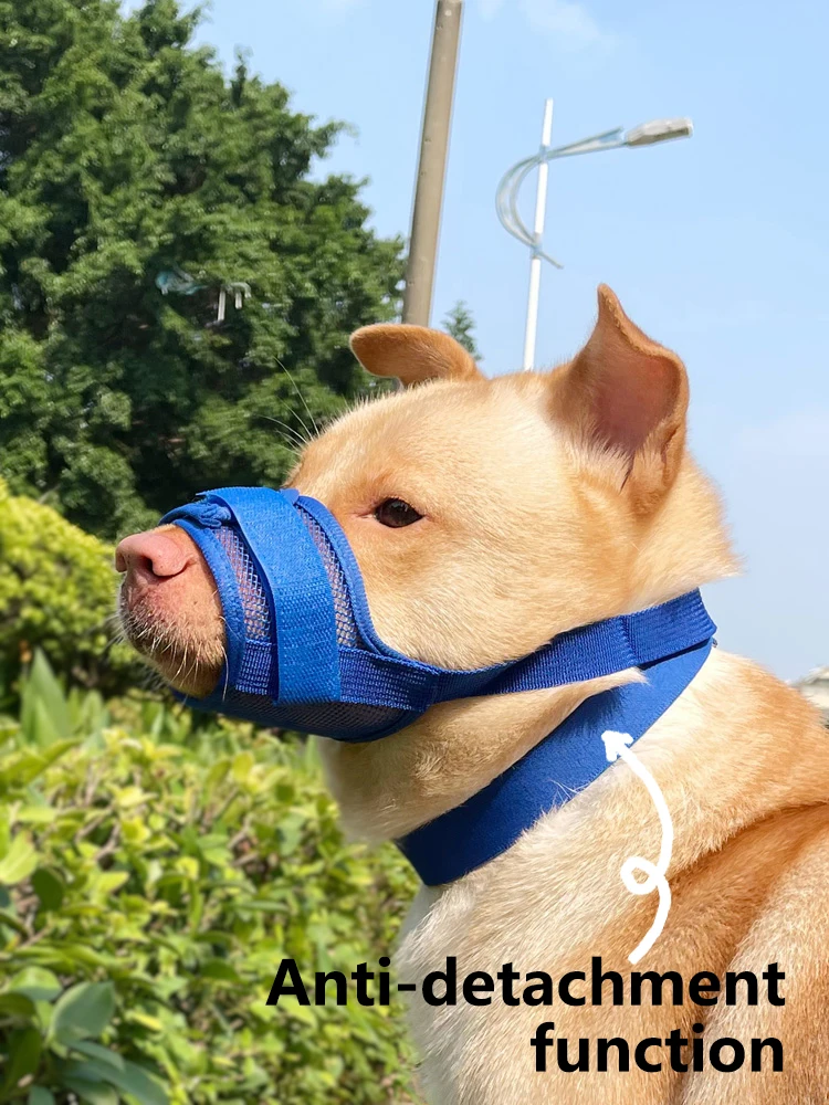 Dog Muzzle Anti-Chew Anti-Detachment Pet Masks for Small, Medium, Large Pet Anti-Ingestion Anti-Detachment Dog Leash Muzzle
Dog Muzzle Anti-Chew Anti-Detachment Pet Masks for Small, Medium, Large Pet Anti-Ingestion Anti-Detachment Dog Leash Muzzle