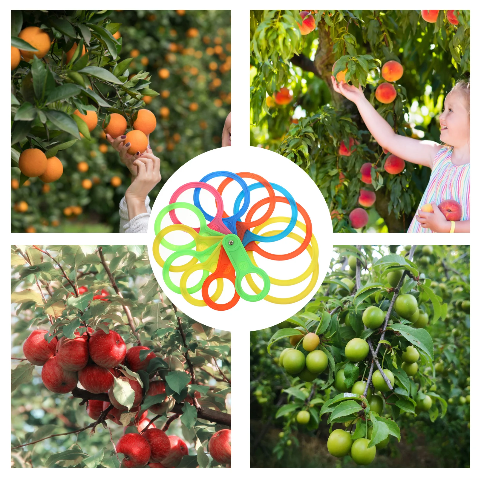 1 set Fruit Plastic Fruits Diameter Measuring Lap Tool Gauge Size 30mm to 90mm Professional Use Portable Fruit Growing
1 set Fruit Plastic Fruits Diameter Measuring Lap Tool Gauge Size 30mm to 90mm Professional Use Portable Fruit Growing