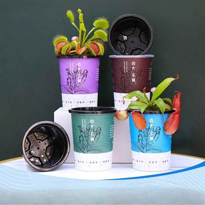 Self absorbing cotton rope basin B03 cultural and creative flower pot series flytrap pitcher plant bottle grass
Self absorbing cotton rope basin B03 cultural and creative flower pot series flytrap pitcher plant bottle grass