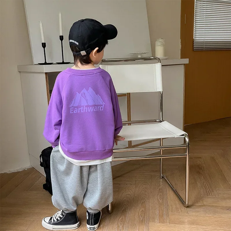 Spring 2024 Boys fashion printing 3 colors sweatshirts Children cotton loose long sleeve pullovers
Spring 2024 Boys fashion printing 3 colors sweatshirts Children cotton loose long sleeve pullovers