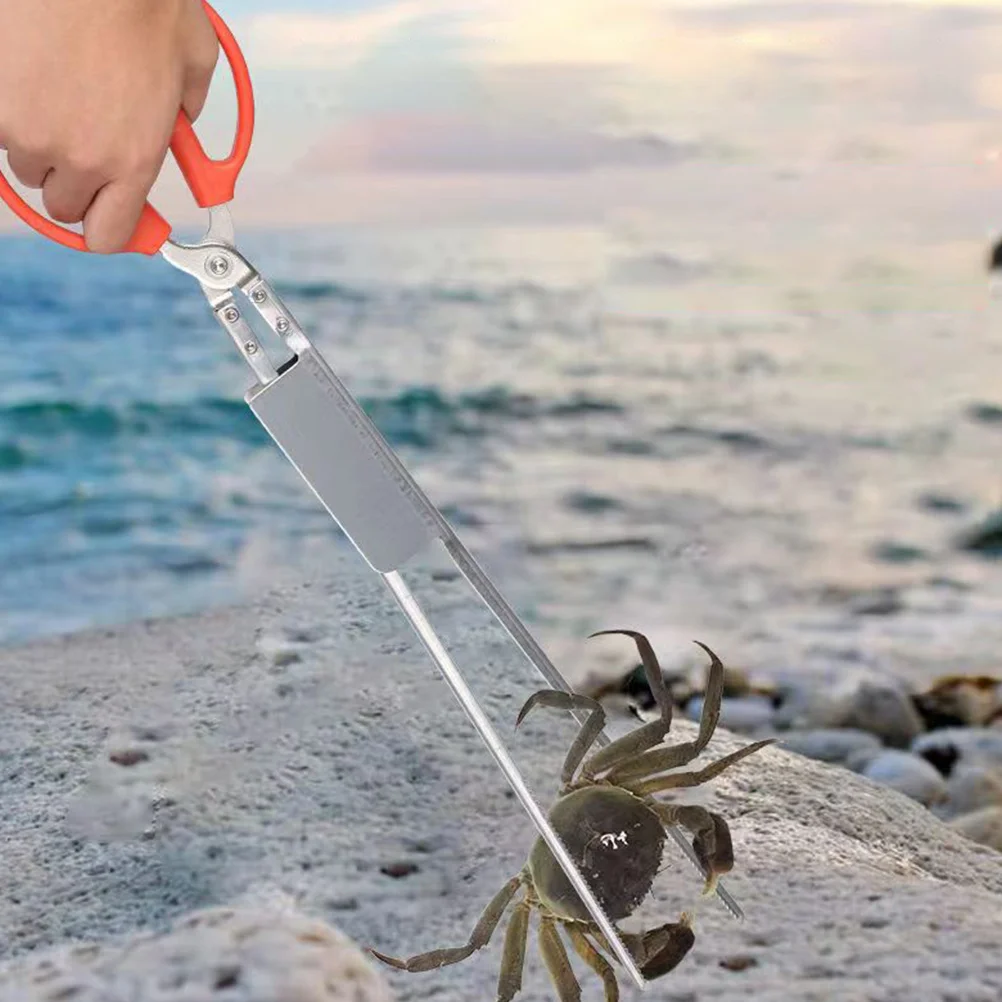 Crab Tong Eel Tool Lobster Clip Garbage Grill Tools AntiSlip Stainless Steel Serrated Chuck Design Suitable for Catching
Crab Tong Eel Tool Lobster Clip Garbage Grill Tools AntiSlip Stainless Steel Serrated Chuck Design Suitable for Catching