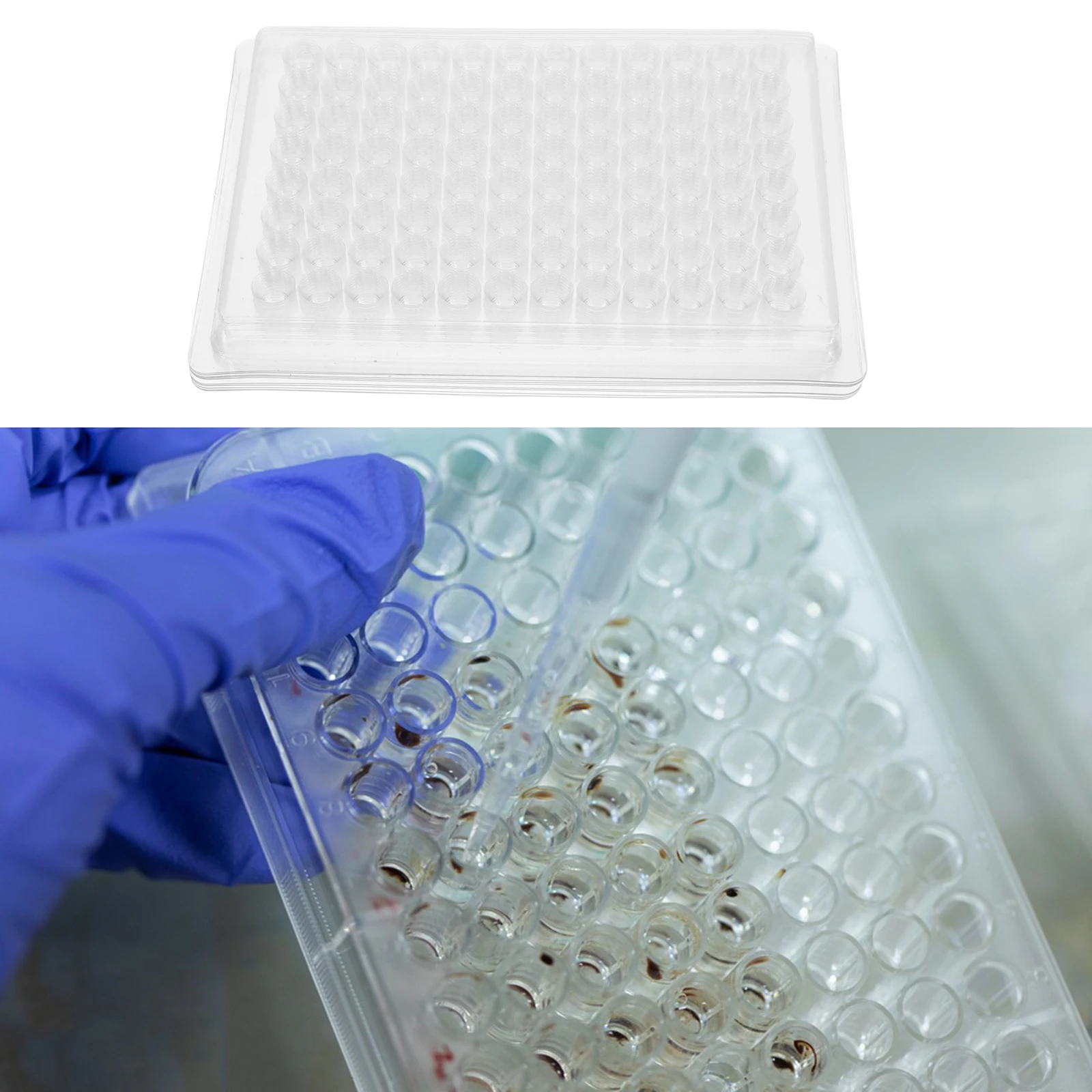 100pcs Blood Coagulation Reaction 96 Well High Precision Plate Cell Plate For Large Scale Experiments
100pcs Blood Coagulation Reaction 96 Well High Precision Plate Cell Plate For Large Scale Experiments